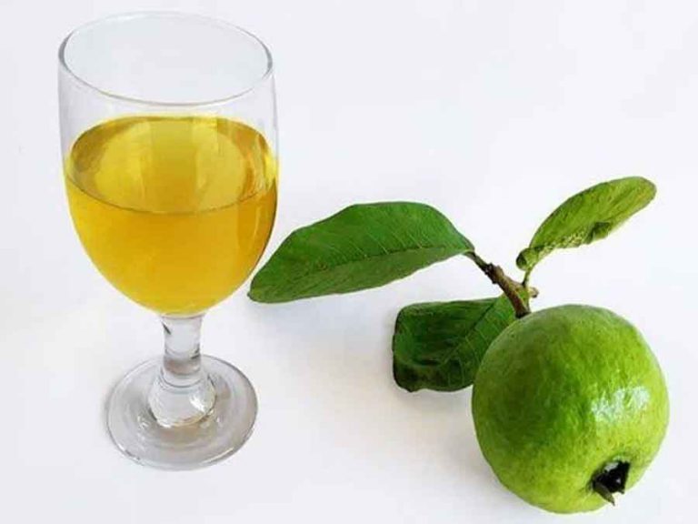 Mua rượu ổi ngâm thủ công ở đâu tại Hà Nội uy tín đảm bảo?