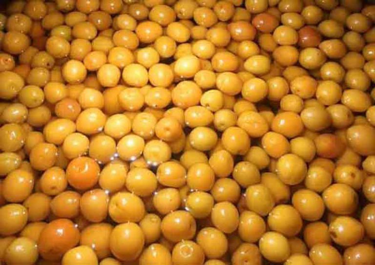 Phân phối rượu mơ ngâm thủ công đến Thái Nguyên