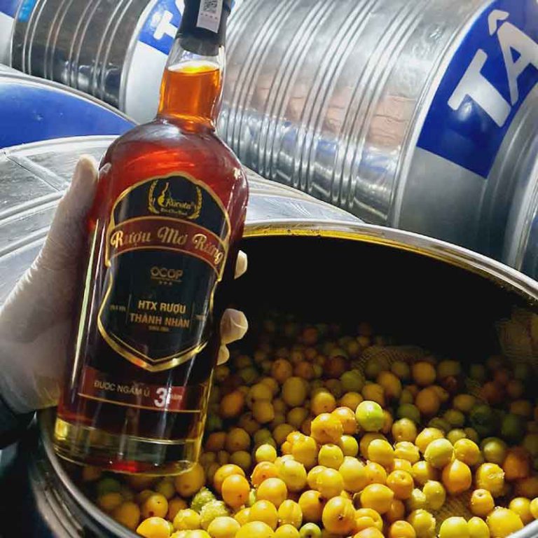Phân phối rượu mơ ngâm thủ công đến Hải Phòng