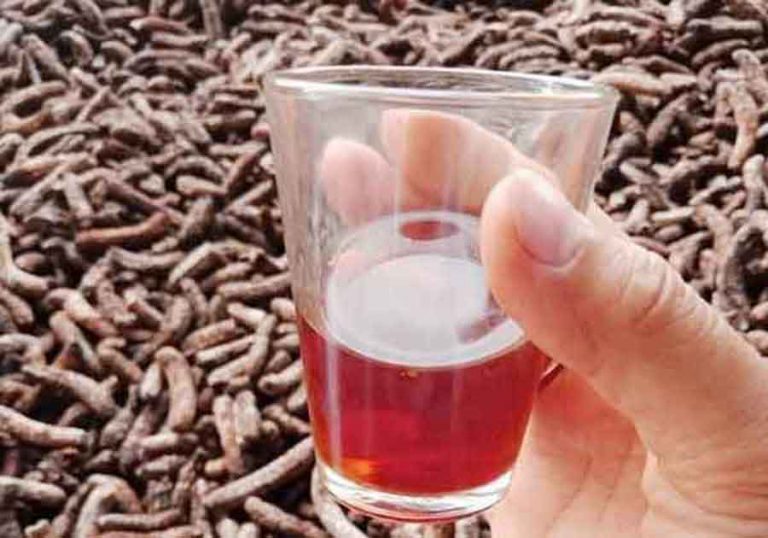 Review 3 địa chỉ bán rượu chuối hột uy tín tại Hà Nội