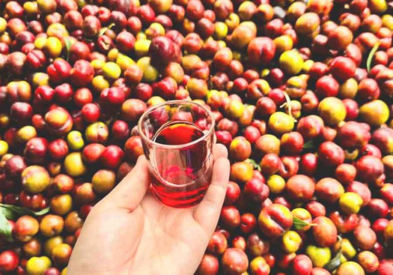 Địa chỉ bán rượu mận ngâm thủ công đến TP. Huế